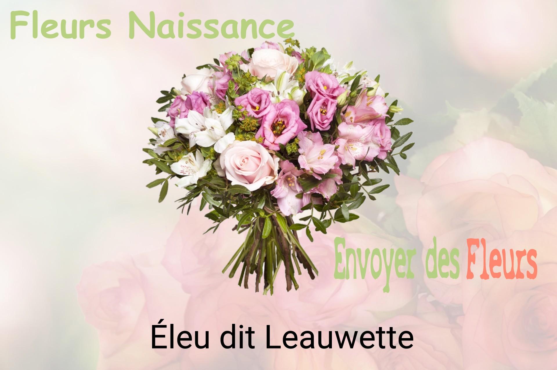 Bouquet de fleurs de naissance livré à Éleu-dit-Leauwette