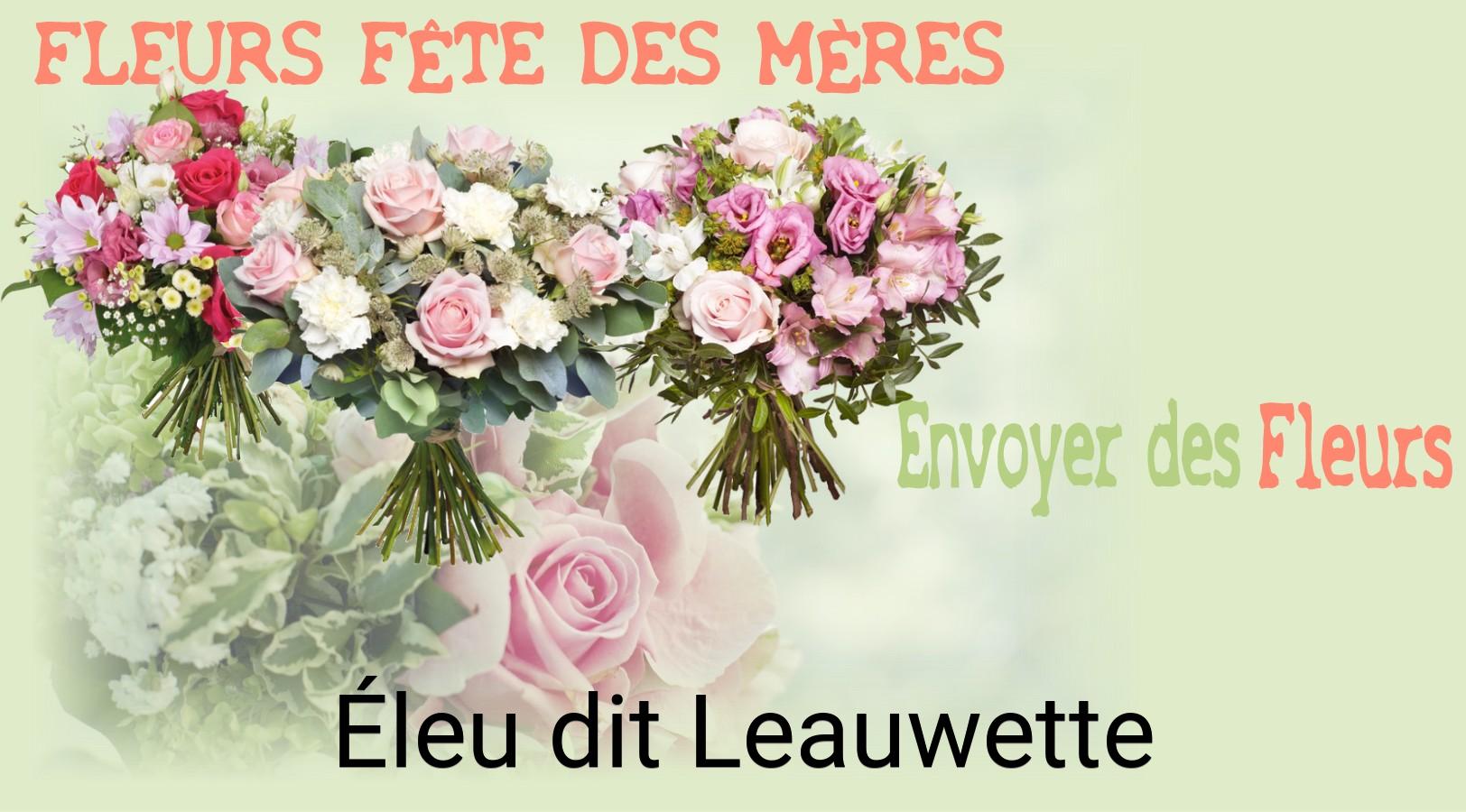 Bouquet de Fête des Mères livré à Éleu-dit-Leauwette